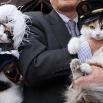 偉大なる【たま駅長】の後を継いだ駅長「ニタマ」