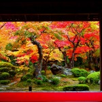 【京都】一度は見たい絶景の紅葉スポット！