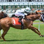 【一流ジョッキー藤田騎手引退！】どうなる競馬会？