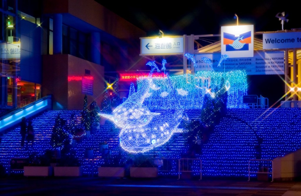 kaiyukan_illumination09_05